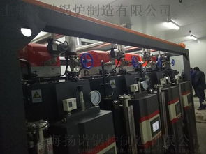 食品機械配套蒸汽鍋爐 高效廚房設(shè)備的核心動力
