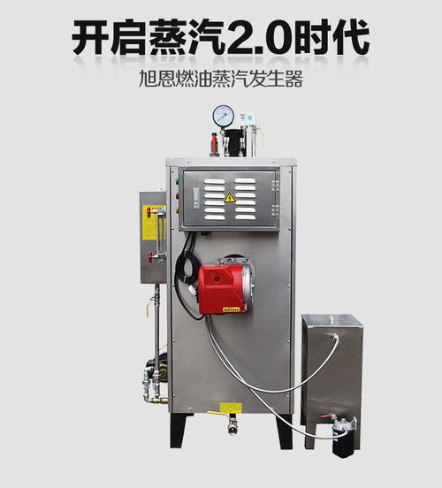 30kg燃油食品加工蒸汽發(fā)生器鍋爐 高效節(jié)能的食品工業(yè)熱能解決方案