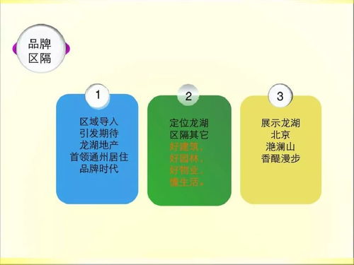 2019年龍湖房產項目 精益策劃與整合公關服務實施藍圖